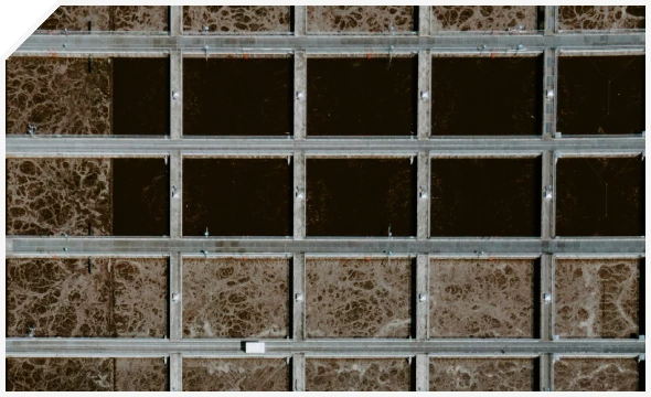 Rectangle-4-1 (2)