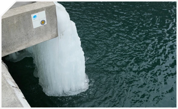 Rectangle-4-1