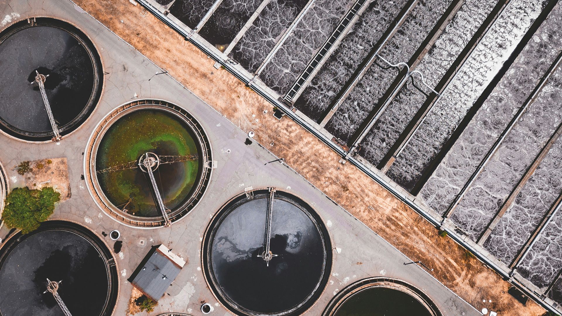 ivan-bandura-Ac97OqAWDvg-unsplash (1)