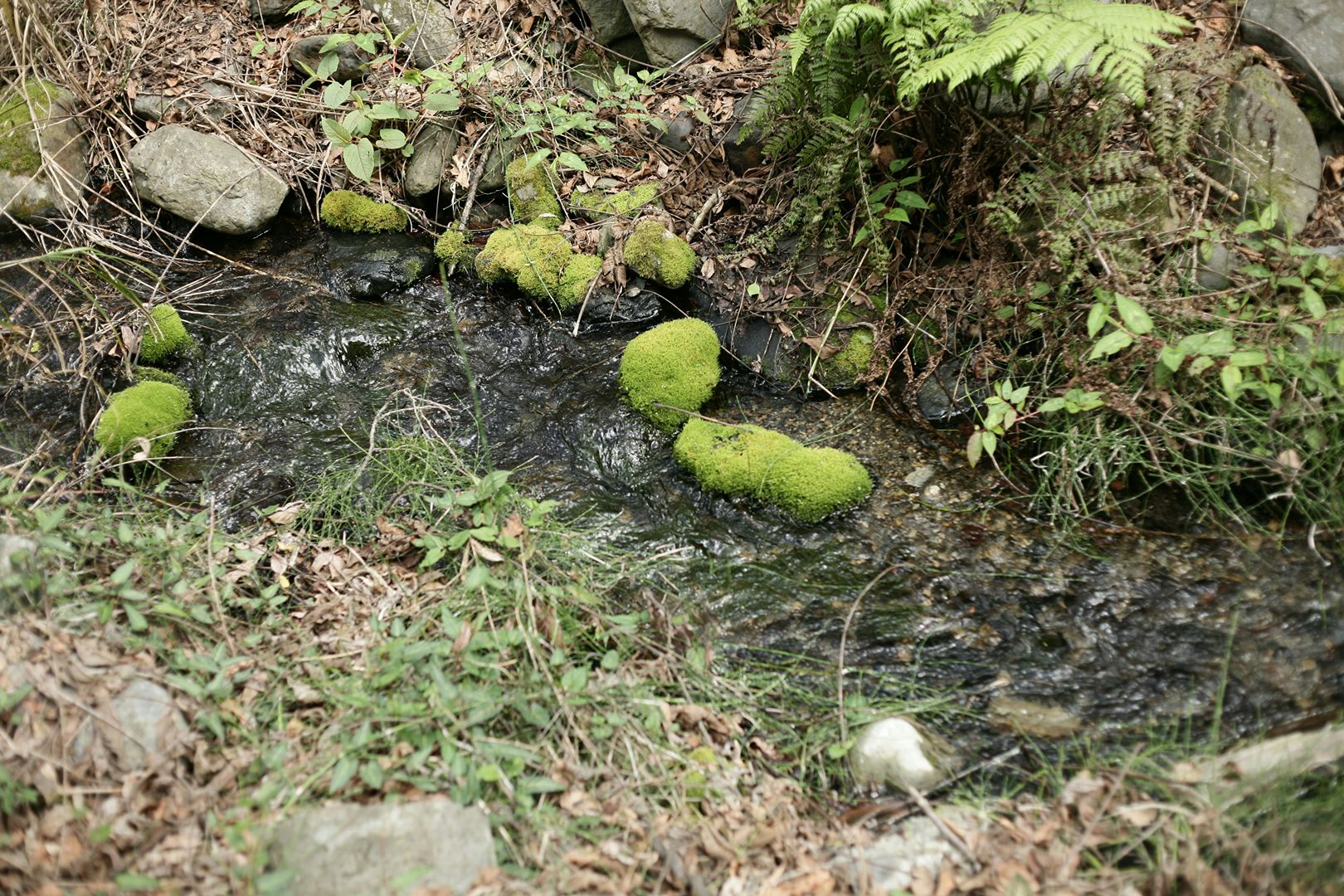 mche-lee-OiOSlUYOi8U-unsplash